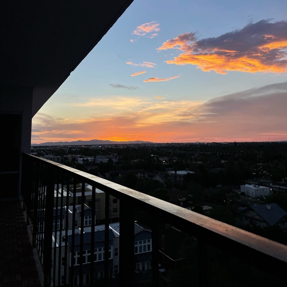 Meet your Posher, Esme